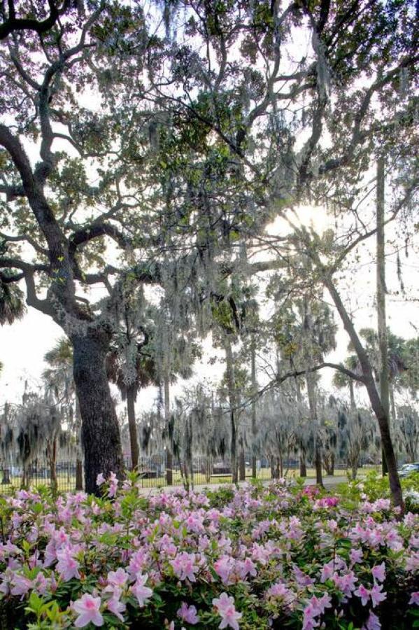 Villa Newly Renovated 4 Bed 3 Bath And 2 Parking Spots Savannah Esterno foto